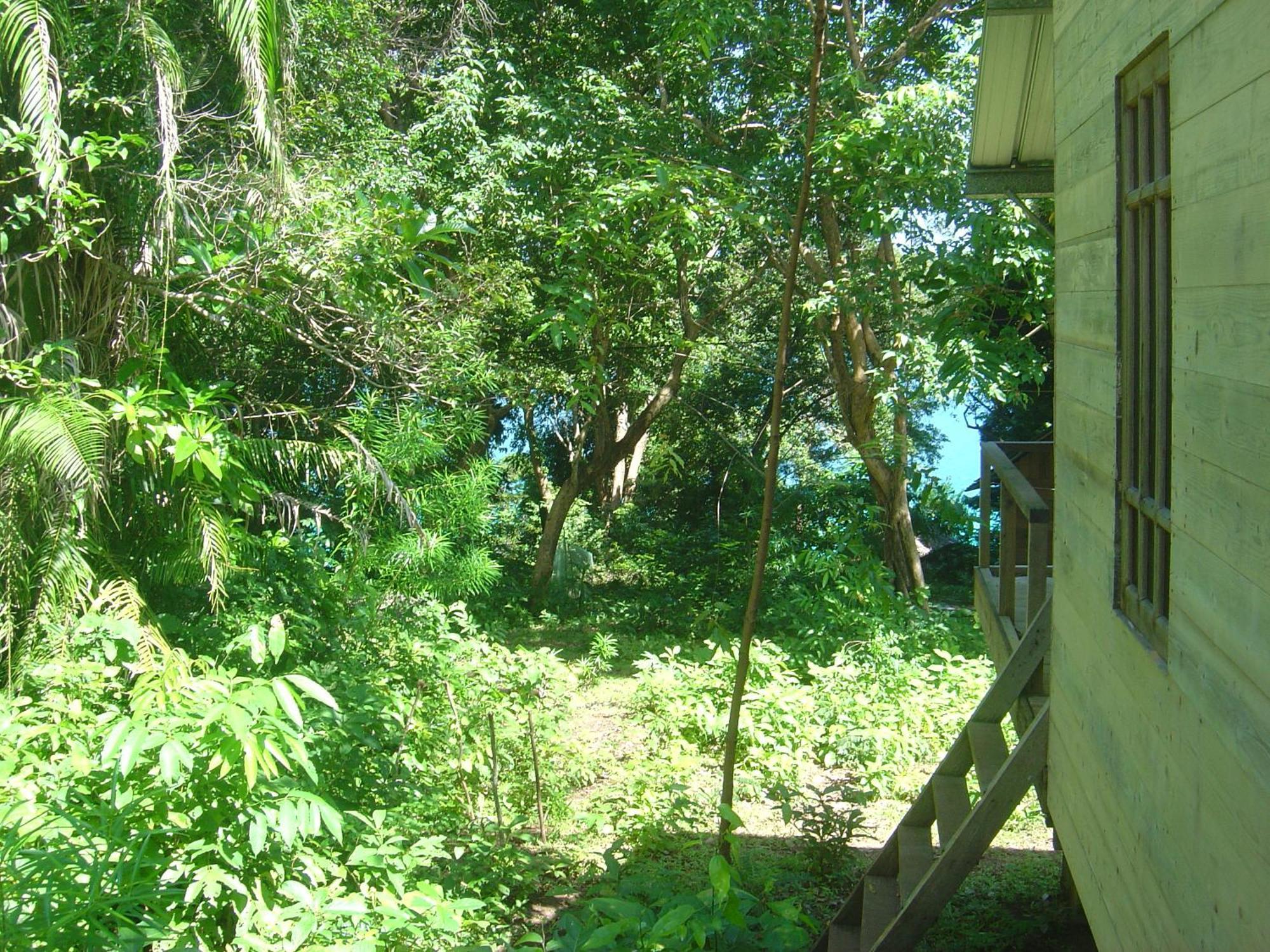 Olala Cafe & Bungalows Sabang  Ngoại thất bức ảnh